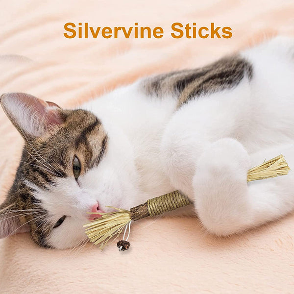 Cat Silvervine Dental Sticks - For Cleaning Kitten Teeth - Toys for Indoor Cats