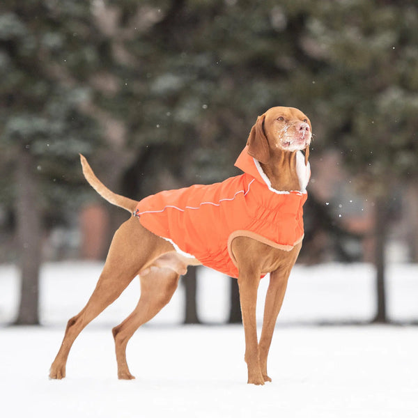 GF Pet Insulated Dog Raincoat