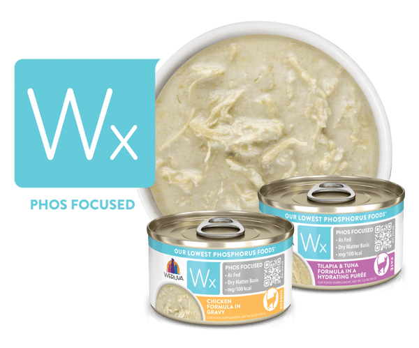 Wx – Phosphorus Focused Foods
