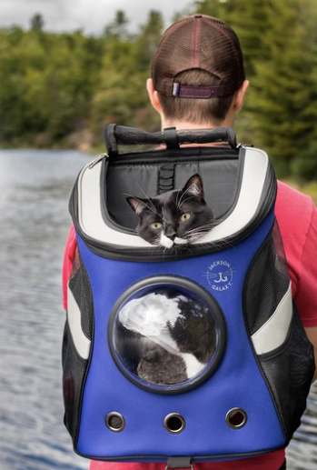 The Jackson Galaxy Convertible Cat Backpack Bubble Carrier