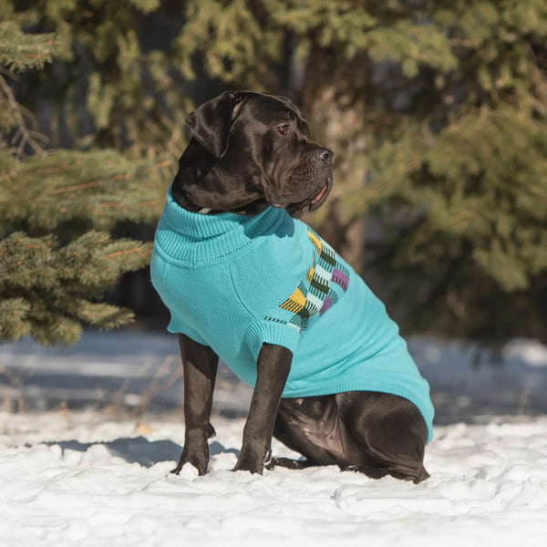 GF Pet Winter Sailor Dog Sweater
