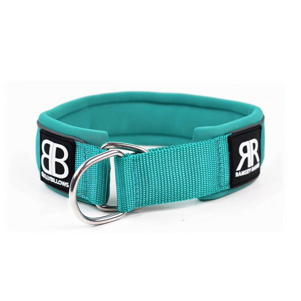 Bully Billows Thick Martingale