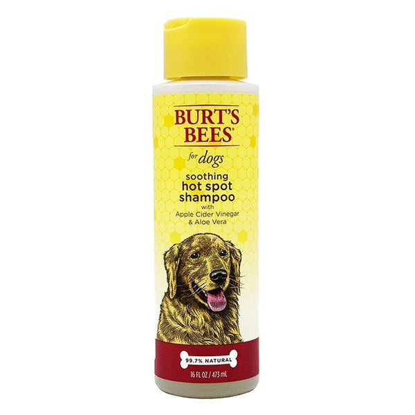 Burt's Bees Hot Spot Shampoo