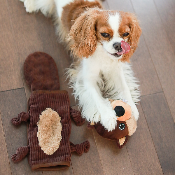 Be One Breed Rebuildable Dog Toy
