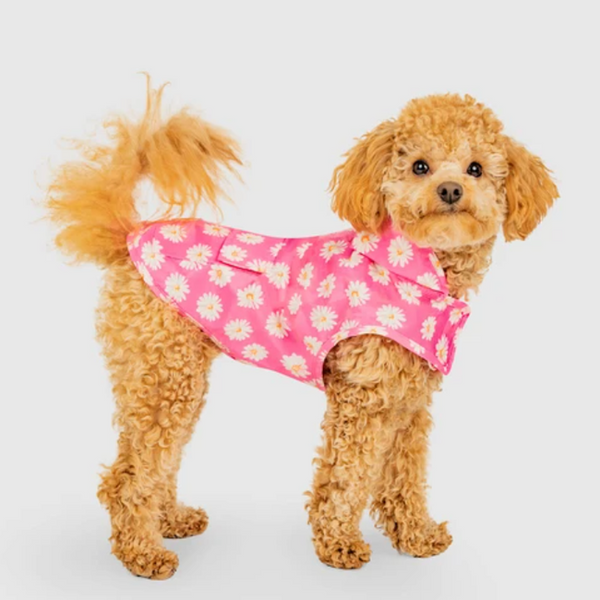 Canada Pooch Pick Me Poncho Pink Daisy