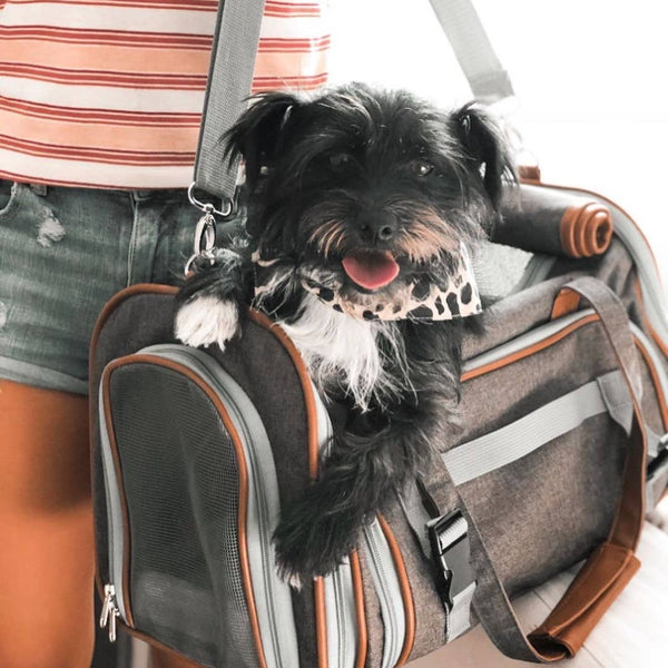 Mr. Peanut's Gold Series Mini Expandable Pet Carrier