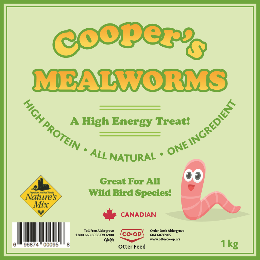 Coopers Mealworms Cascadia Natural Pet Supply