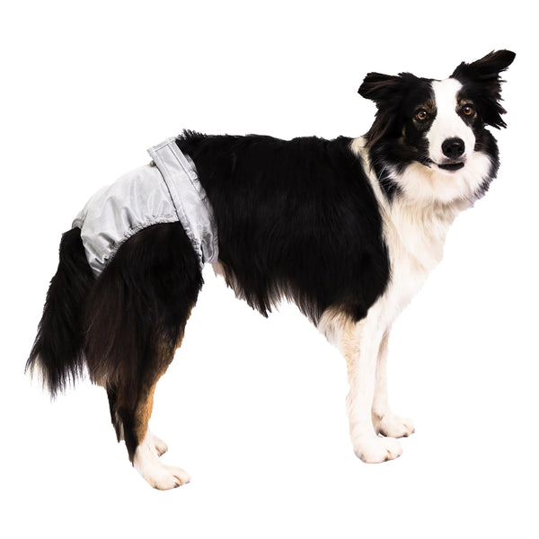 Pooch Pants Reusable Dog Diaper