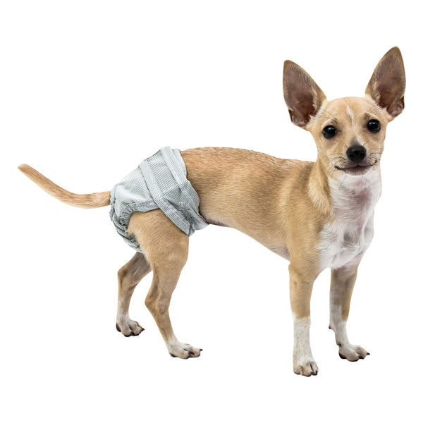 Pooch Pants Reusable Dog Diaper