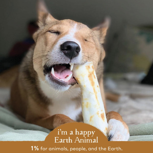 Earth Animal NoHide Dog Chew 2 Pack