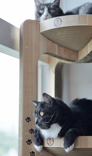 Necoichi Cozy Cat Scratcher XL Tower