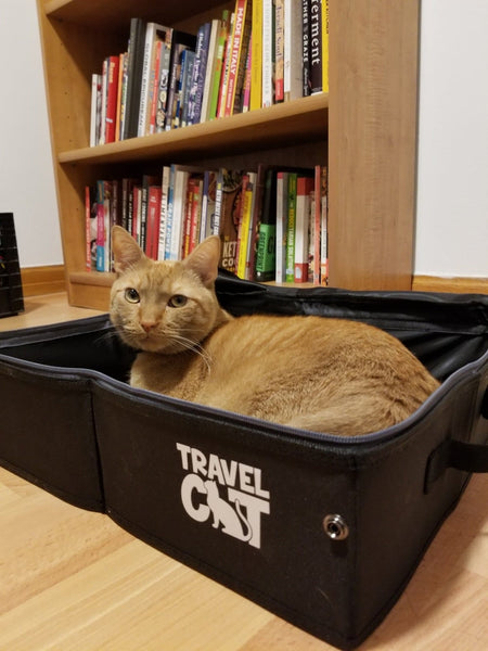 "The Porta-Pawty" Travel Cat Portable litter Box