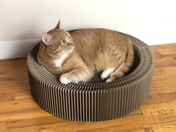 The Accordion" Travel Cardboard Bed & Scratcher