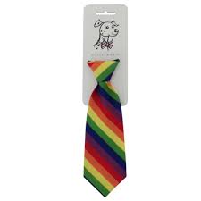 Pride Neck Tie