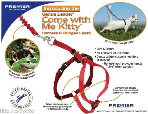 Come with me Kitty Harness and Bungee Leash
