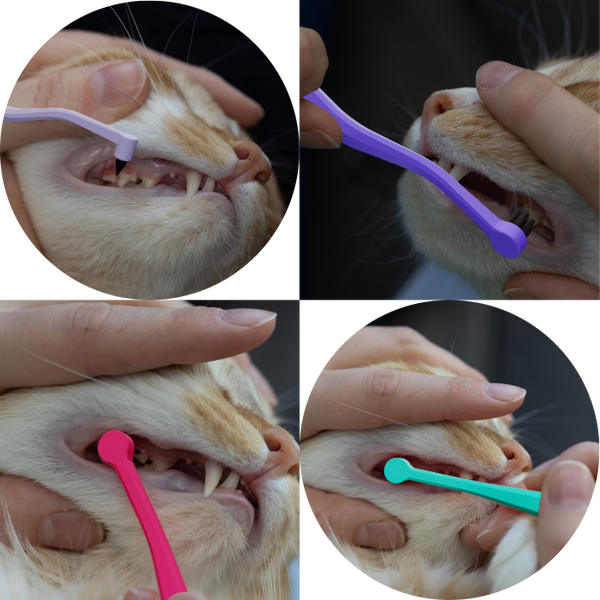 Ryercat Cat Toothbrush